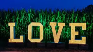 XXL Buchstaben Love mieten